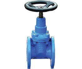 GEMAK CI Gate Valves, Fl. w. Rubberized Wedge, PN25, F4 DN200 Rubberized wedge