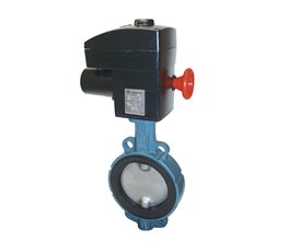 Ebro Πεταλούδα Ζ011Α Wafer GG25/316EPDM, PN10, με Η/Κ 230Vac DN20 Κεντρικού άξονα