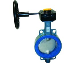 Ebro Πεταλούδα Ζ011Α, Wafer GG25/316/Viton, PN16, με Μειωτήρα DN65 Κεντρικού άξονα