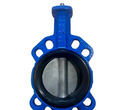 Πεταλούδα Belgicast GOLD GGG50/316/EPDM χωρίς Ενεργοποιητή PN16 125mm Κεντρικού άξονα