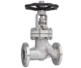 BVALVE Ατμοφράκτης Φυσούνας BV25066 Ανοξείδωτος Φλαντζωτός PN40 DN25 Επιστόμιο φυσούνας