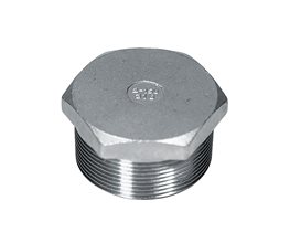 Hexagon Plugs S/S T316L 150# BSP 4"  Threaded ISO/BSP