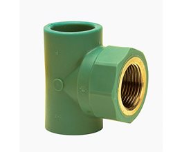 BAENNINGER Ταυ με Θηλυκό Σπείρωμα PP-RCT Φ25 x 3/4"  για σωλήνες PP-R