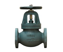 Cast Iron Globe Valve Straight Type Flanged JIS 10K F7307 A80  Globe valve