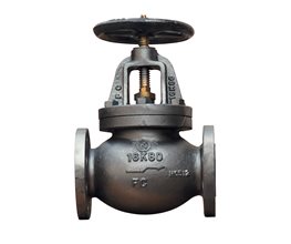 Cast Iron Globe Valve Straight Type Flanged JIS 16K F7309 A80  Globe valve