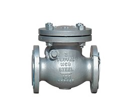 FLUVAL Swing Check Valve WCB/8 150lb RF 6"  Swing check valve