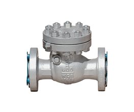 FLUVAL Swing Check Valve WCB/8 600lb RF 2"  Swing check valve