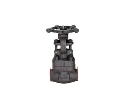 FLUVAL Gate Valve A105/8 800# SW w/Hand-Wheel 1"  Metal seated
