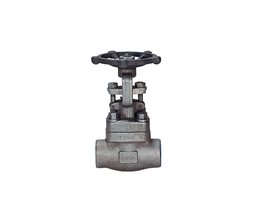 FLUVAL Gate Valve F316/10 800# NPT w/Hand-Wheel 3/4"  Metal seated