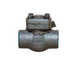 FLUVAL Swing Check Valve A105/8 800# NPT 2"  Swing check valve