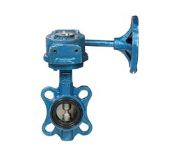 EFFEBI Butterfly Valve w/Disc SS304 and Gear Box 200  Centric type