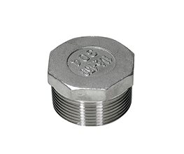 Hexagon Plug S/S T304 150# BSP 2"  Threaded ISO/BSP