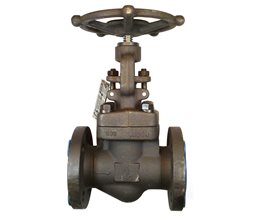 FLUVAL Globe Valve A105/8 150 1/2"  Globe valve