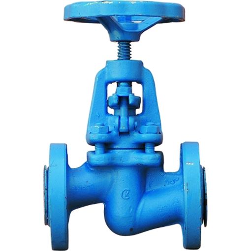 Globe Valves, CS, Fl., PN40, Polish DN20