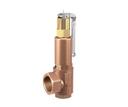Goetze Safety Valve 851 3 01-4 5bar DN25  Pressure relief valves