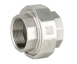 Unions 316/PTFE F/F BSP 2"  Threaded ISO/BSP
