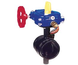 Bfly Valve PN16 w/Grooved Ends Body/Disc DI+EPDM Profit UL/FM DN80  Centric type