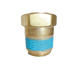 Check Valve 250 psig REGO CD31 1 1/4"x3/4"  LPG check valves