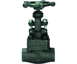 FLUVAL Globe A105/10 800 NPT 1/2"  Globe valve