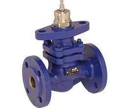 BELIMO 2-Way Steam Globe Valve SP PN16 DN80  2-way