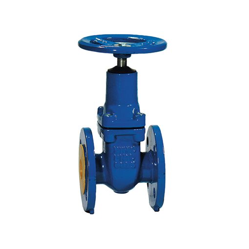 CI Non Rising Stem Wedge Gate Valves F4 DIN3352 DN50