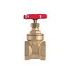 Βάνα Ορειχάλκινη IVR PN16 1.1/2"