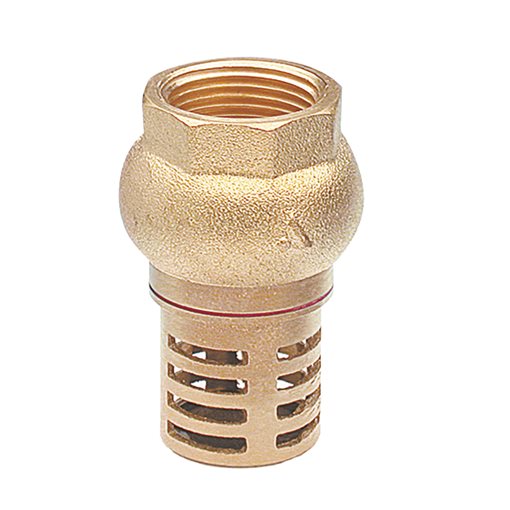 Foot Valves Brass, Thr., 2 1/2"