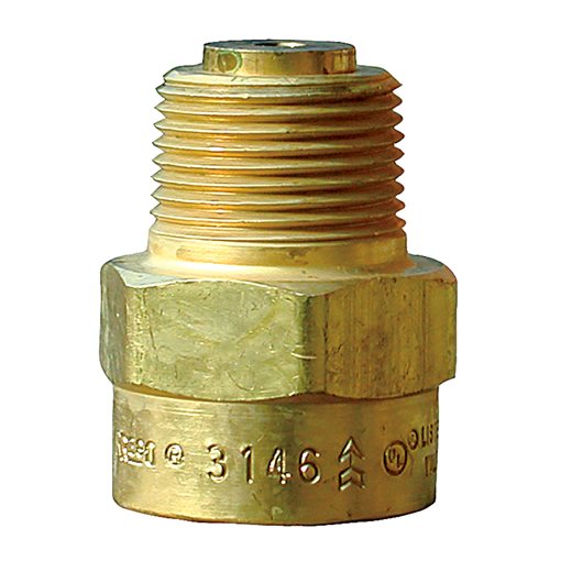 Check Valves, Back Pressure, Bronze, REGO 3146, 3/4"