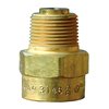 Check Valves, Back Pressure, Bronze, REGO 3146, 3/4"
