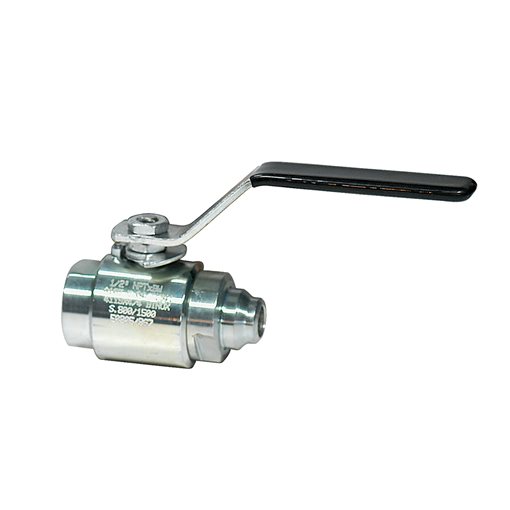 EFFEBI Ball Valves Monoblock TI A105, FB NPT/BW 1/2"