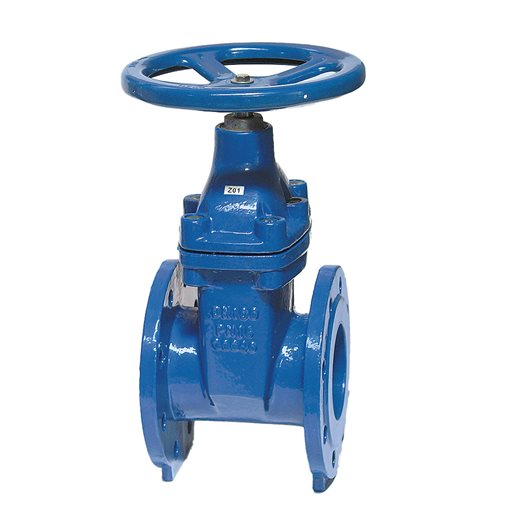 CI Rubberized Wedge Gate Valves, Fl. PN16, F4 DN50