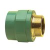 B-R Μαστός Αρσενικός PP-R Φ25 x 3/4"