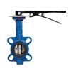BFV w.Nickel Plated Disc and Handlever PN16 250mm