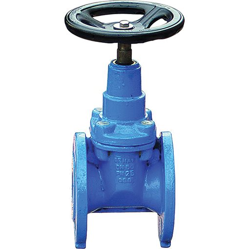 GEMAK CI Rubberized Wedge Gate Valves, Fl. PN25, F4 DN65
