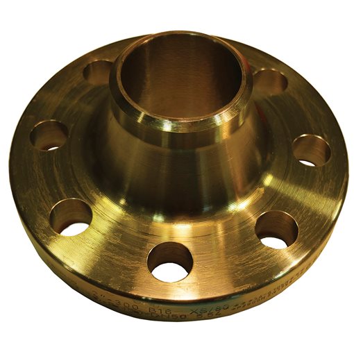 Flanges ANSI B16.5 WN ASTM A 105 E.U. 300# SCH XS 12"