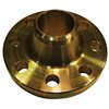 Flanges ANSI B16.5 WN ASTM A 105 E.U. 300# SCH XS 12"