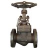 FLUVAL Globe Valves A105/8 150 1"
