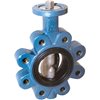 EFFEBI BFV LUG, S/S Disc 316, PN16 THESIS 40 DN200