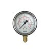 Pressure Gauges Glycerin Type, Vertical, WIKA 63mm x 25bar