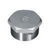 Πώμα Αρσενικό 150# 316L 1/8"