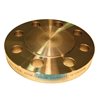 Flanges Blind ANSI B16.5 ASTM A 105 E.U. 300# 16"