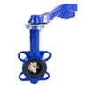 Butterfly Valves GENEBRE 2103, GG20/NPl Disc/EPDM w.Hand-lever DN150
