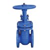 PROINVAL Rising Stem Gate Valves, PN16, F4, OS&Y DN150