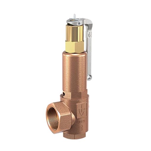 GG Safety Valves 851 10,01-14,0bar DN25