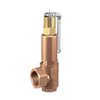 GG Safety Valves 851 10,01-14,0bar DN25