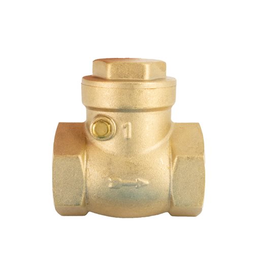Swing Check Valves with Rubber Seat, 2 1/2"