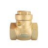 Swing Check Valves with Rubber Seat, 2 1/2"