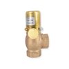 GG 618sGFO Angular Brass Relief Valves 12-20 bar 1/2"