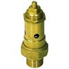 Free Safety Valves SBR Seat 3/4"