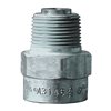 Check Valves, Back Pressure, Steel, REGO A3146, 3/4"